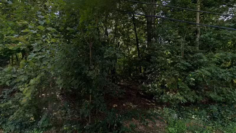 Bowman Park - Lexington, MA