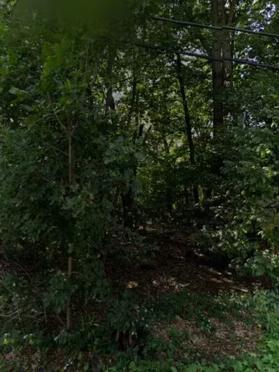 Bowman Park - Lexington, MA