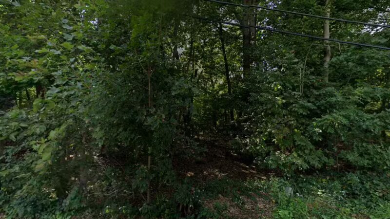 Bowman Park - Lexington, MA