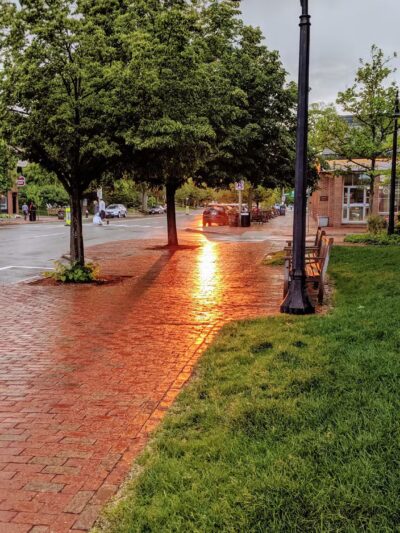 Emery Park - Lexington, MA
