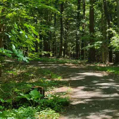 Emery Park - Lexington, MA