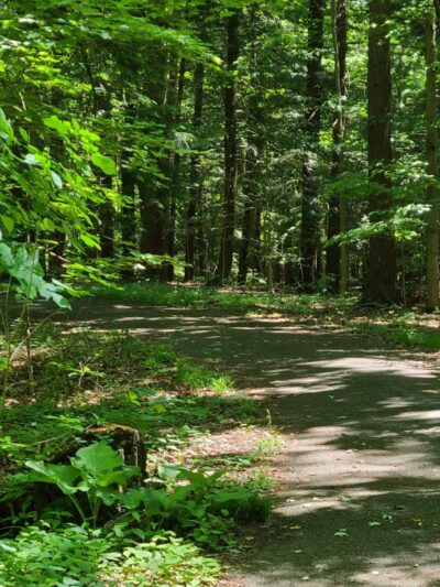 Emery Park - Lexington, MA