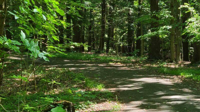 Emery Park - Lexington, MA