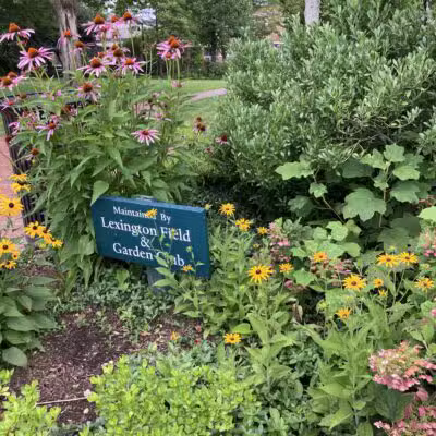 Emery Park - Lexington, MA