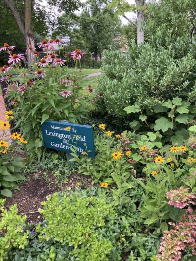 Emery Park - Lexington, MA