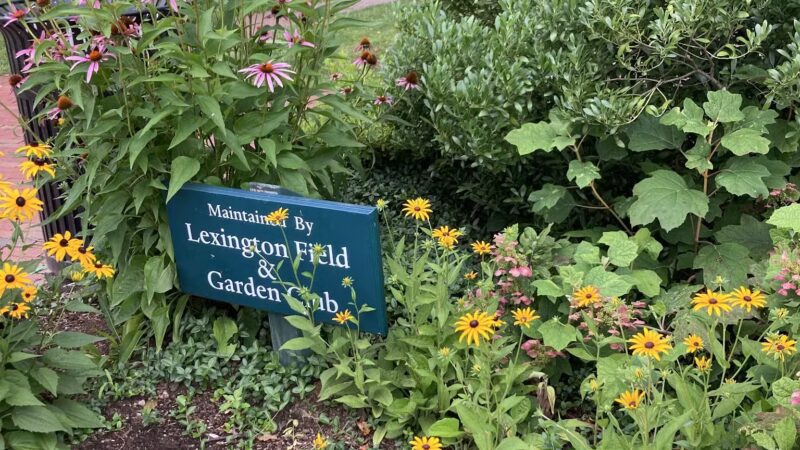 Emery Park - Lexington, MA