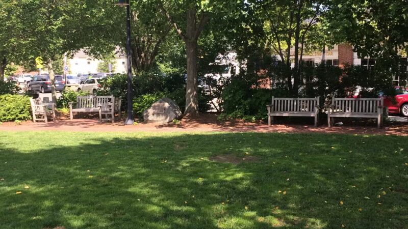 Emery Park - Lexington, MA