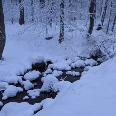 Garfield Park - Lexington, MA