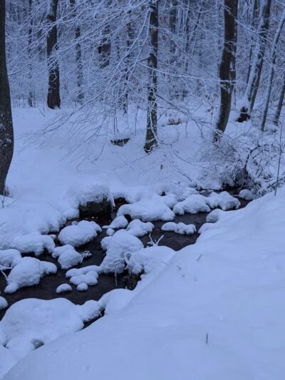 Garfield Park - Lexington, MA