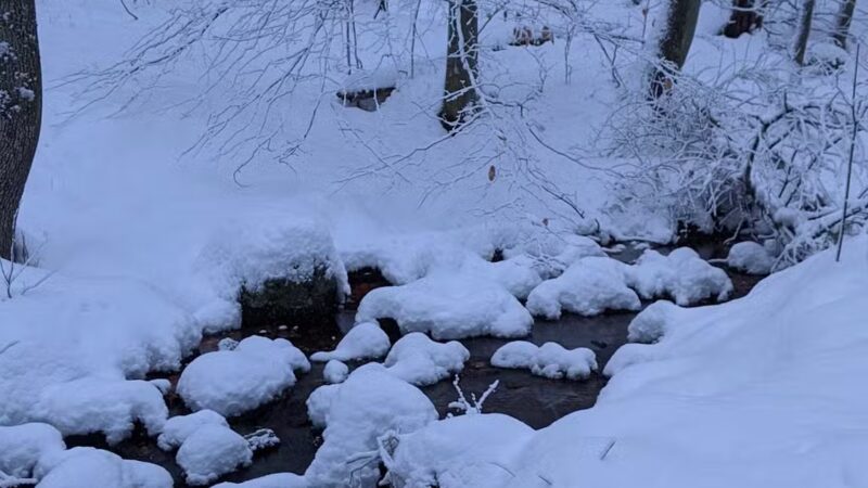 Garfield Park - Lexington, MA