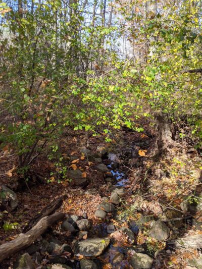 Garfield Park - Lexington, MA