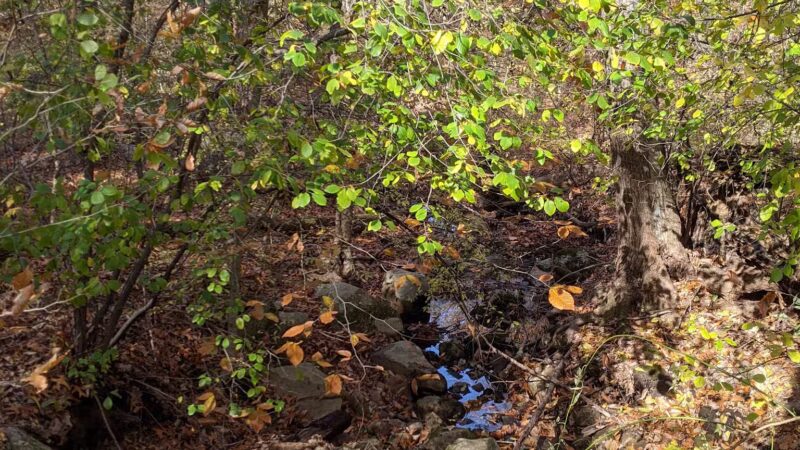 Garfield Park - Lexington, MA