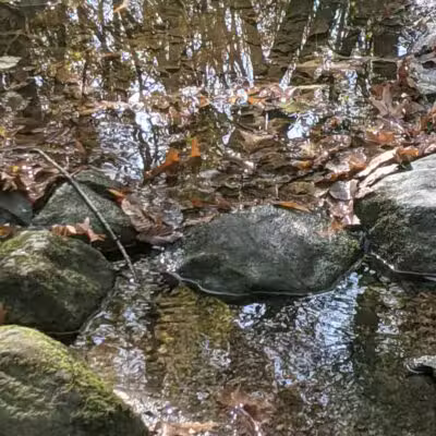 Garfield Park - Lexington, MA