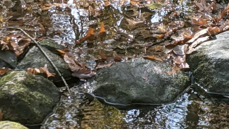 Garfield Park - Lexington, MA