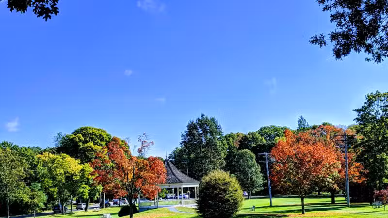 Hastings Park - Lexington, MA