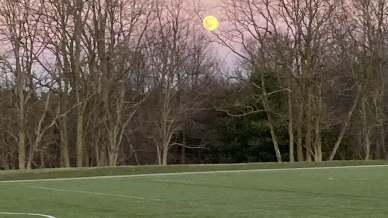 Lincoln Park - Lexington, MA