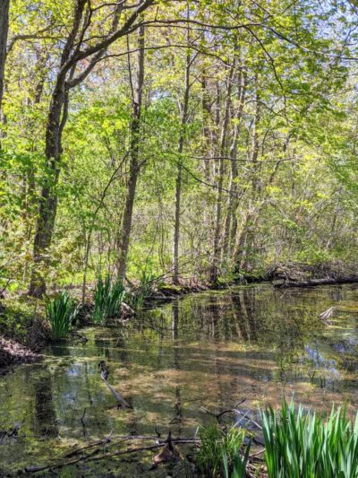 Lincoln Park - Lexington, MA