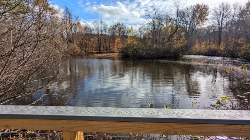 Parker Meadow Conservation Area - Lexington, MA