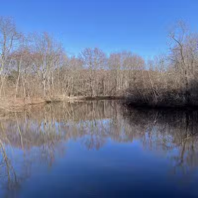 Parker Meadow Conservation Area - Lexington, MA