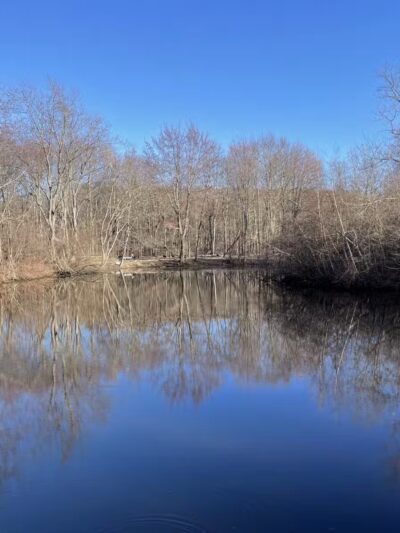 Parker Meadow Conservation Area - Lexington, MA