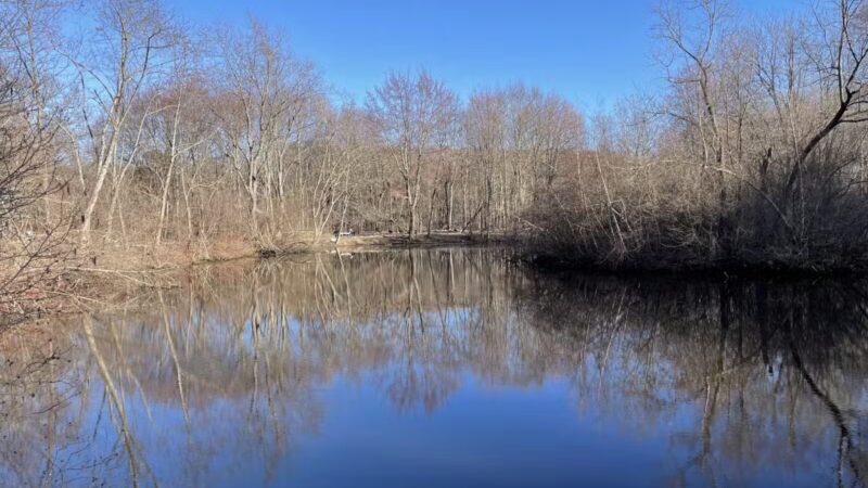 Parker Meadow Conservation Area - Lexington, MA