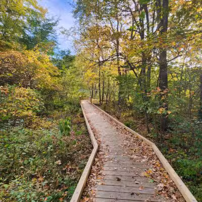 Parker Meadow Conservation Area - Lexington, MA