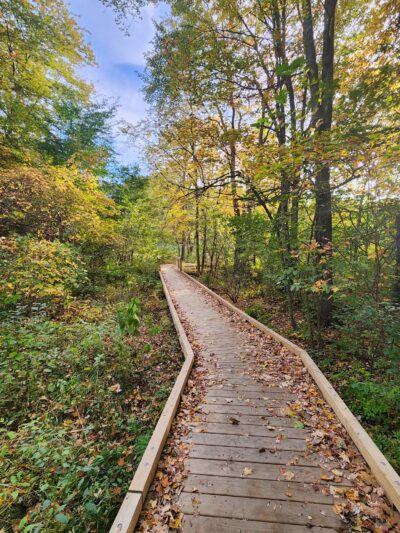 Parker Meadow Conservation Area - Lexington, MA