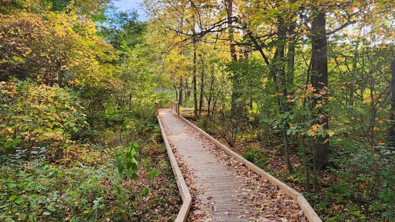 Parker Meadow Conservation Area - Lexington, MA