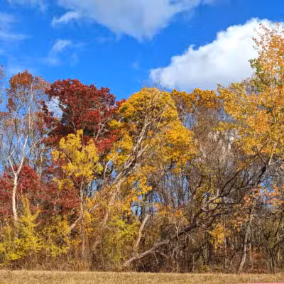 Parker Meadow Conservation Area - Lexington, MA