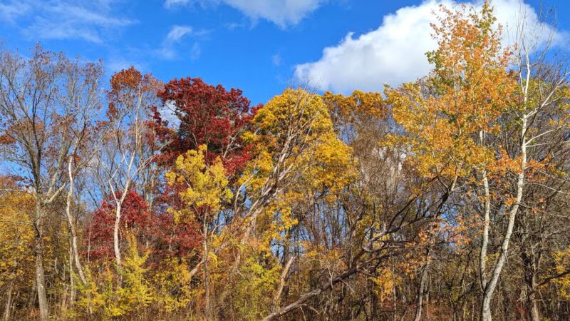 Parker Meadow Conservation Area - Lexington, MA