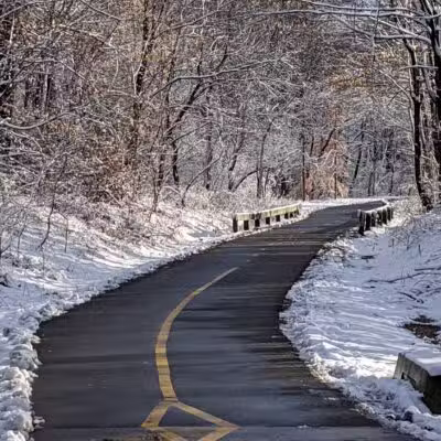 Parker Meadow Conservation Area - Lexington, MA