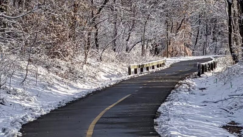 Parker Meadow Conservation Area - Lexington, MA
