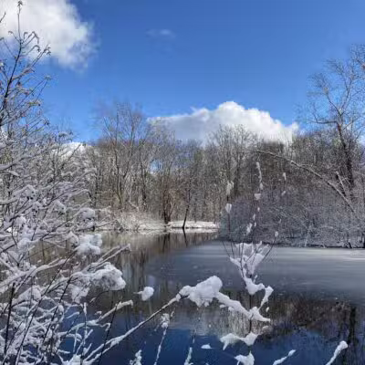 Parker Meadow Conservation Area - Lexington, MA