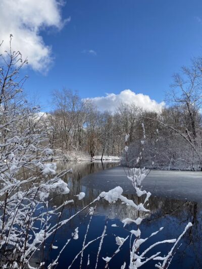 Parker Meadow Conservation Area - Lexington, MA