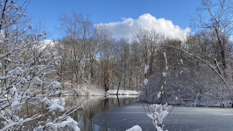 Parker Meadow Conservation Area - Lexington, MA