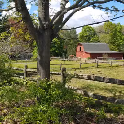Parker Meadow Conservation Area - Lexington, MA
