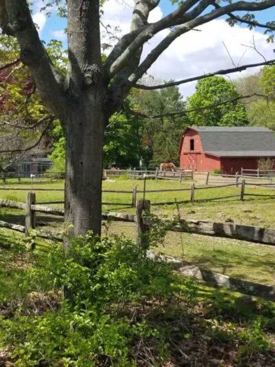 Parker Meadow Conservation Area - Lexington, MA