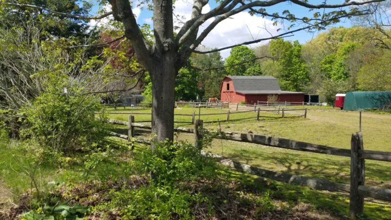 Parker Meadow Conservation Area - Lexington, MA