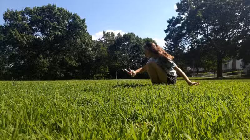 Rindge Park - Lexington, MA