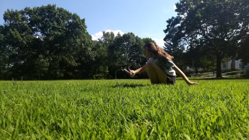 Rindge Park - Lexington, MA