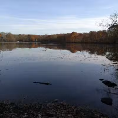 Rindge Park - Lexington, MA