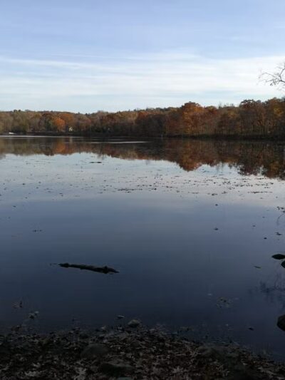 Rindge Park - Lexington, MA