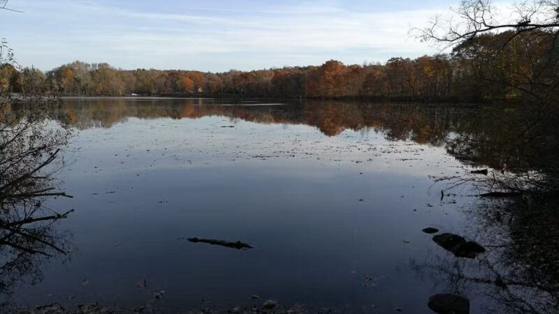 Rindge Park - Lexington, MA