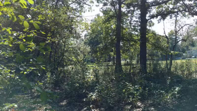 Rindge Park - Lexington, MA