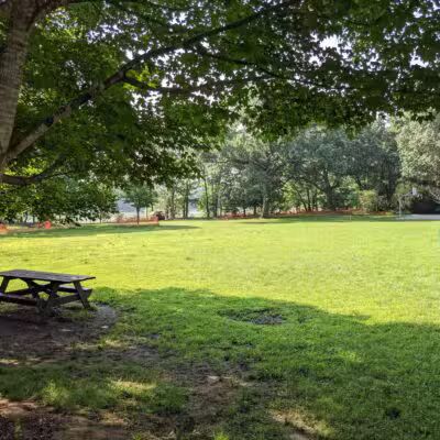Rindge Park - Lexington, MA