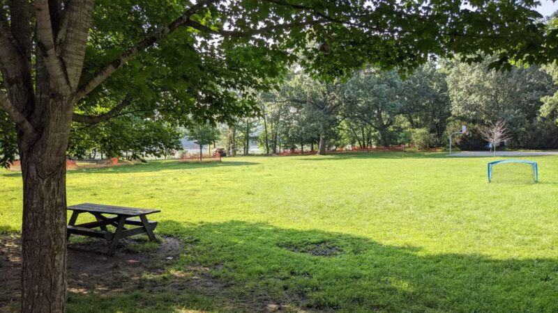 Rindge Park - Lexington, MA