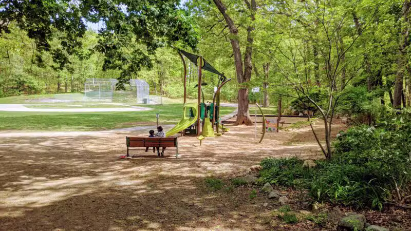 Sutherland Woods - Lexington, MA