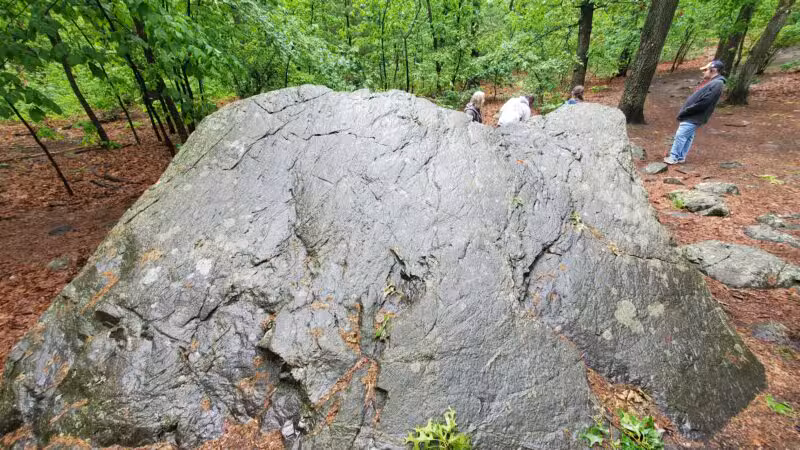 Sutherland Woods - Lexington, MA