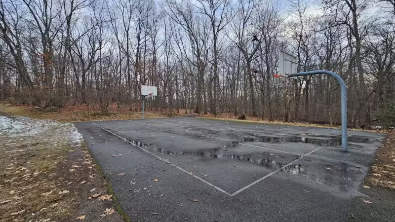 Sutherland Woods - Lexington, MA