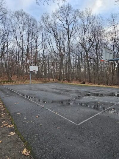 Sutherland Woods - Lexington, MA